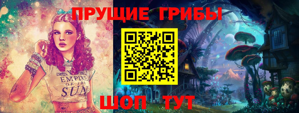 Галлюциногенные грибы Psilocybe Кингисепп